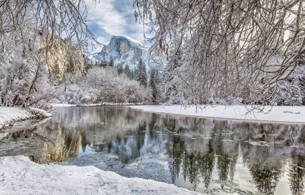Картинка зима, лес, снег, ветки, река, гора, Калифорния, California