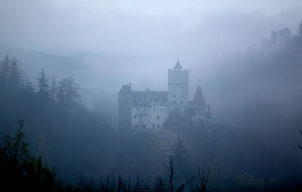 Картинка средневековая архитектура, горы, туман, замок Бран, Romania, Bran Castle, Румыния, лес