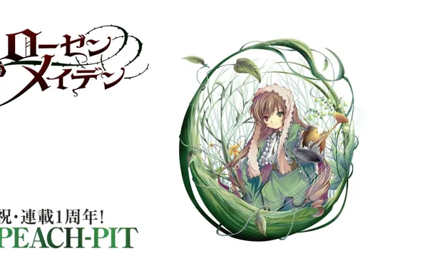 Трава, кукла, белый фон, лейка, art, разные глаза, девы розена, Rozen Maiden