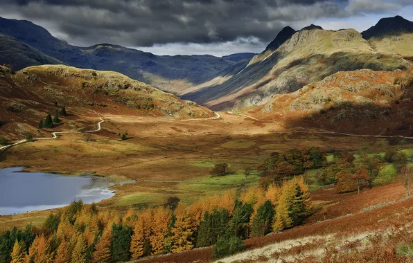Картинка осень, лес, горы, англия, великобритания