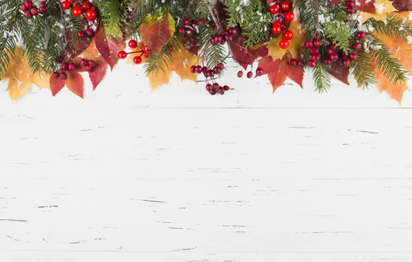 Картинка зима, листья, снег, ягоды, фон, colorful, клен, wood