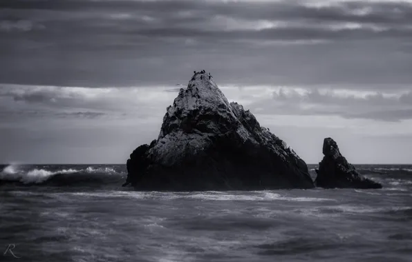 Волны, природа, океан, скалы, берег, черно-белое фото