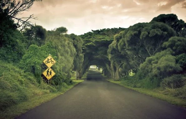 Дорога, небо, деревья, пейзаж, природа, road, sky, trees