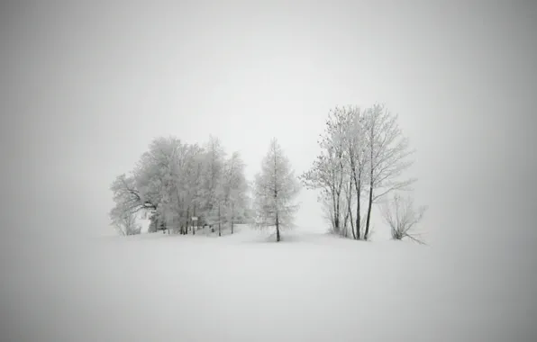 Картинка холод, зима, снег, деревья, пейзажи, новый год, мороз, вьюга