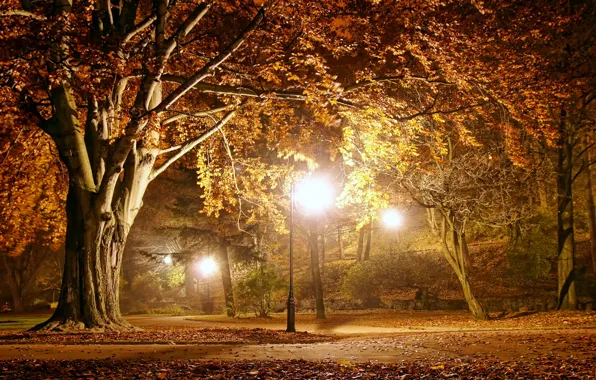 Картинка осень, пейзаж, lights, парк, вечер, night, park, autumn