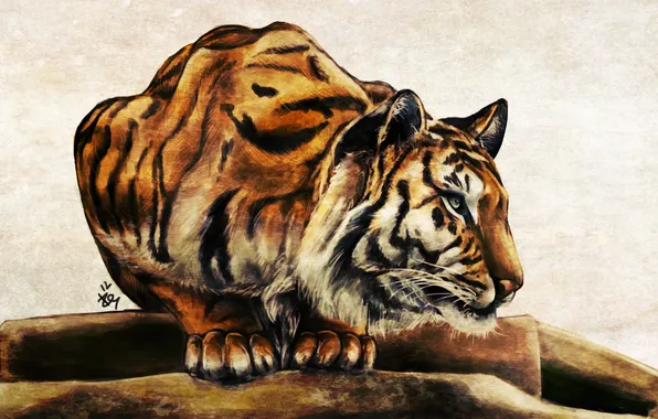 Картинка усы, тигр, животное, хищник, лапы, арт, окрас, уши