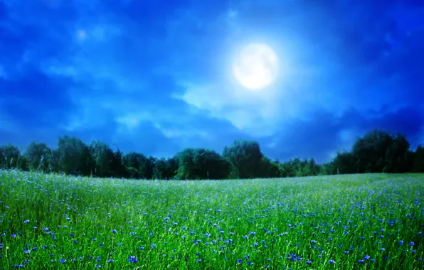 Картинка лето, небо, трава, деревья, пейзаж, ночь, природа, луна