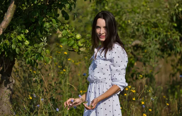 Dress, woman, young, tree, model, brunette, clothing, bush