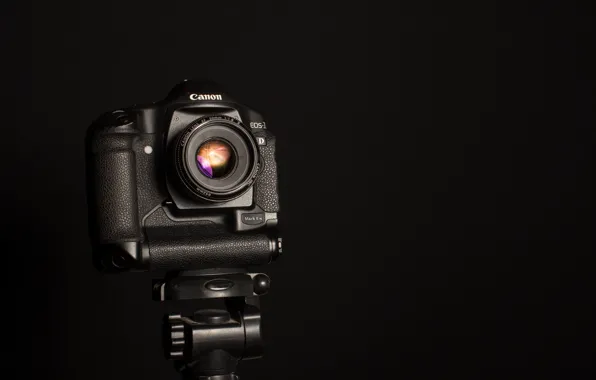 Картинка макро, фон, камера, Canon EOS-1D Mark II N