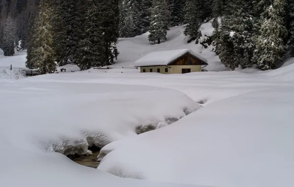 Картинка зима, лес, сугробы, домик