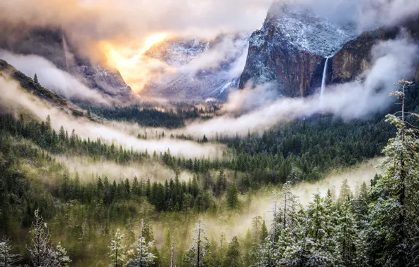 Картинка лес, пейзаж, горы, природа, туман