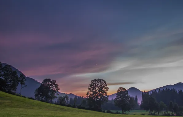 Картинка небо, деревья, горы, вечер, Австрия, Альпы, луг, Austria