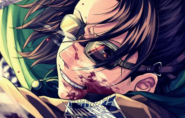 Атака Титанов, Shingeki No Kyojin, Ханджи