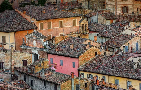 Крыша, дома, Италия, Урбино
