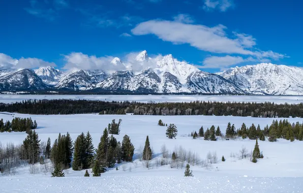 Зима, снег, горы, США, Grand Teton National Park