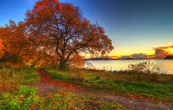 Картинка осень, небо, трава, листья, пейзаж, закат, природа, озеро