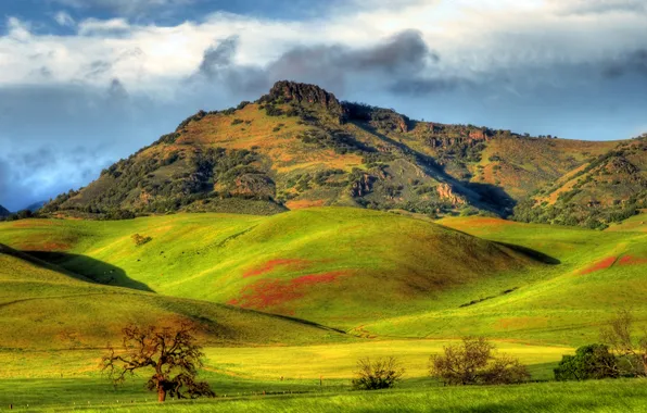 Картинка зелень, солнце, облака, горы, холмы, поля, Калифорния, США