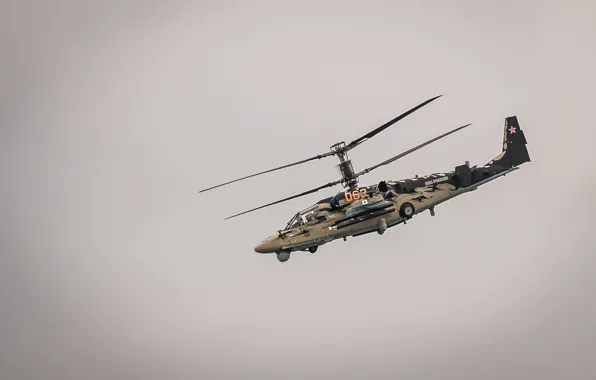Картинка полёт, вертолёт, российский, Ка-52, ударный, «Аллигатор»
