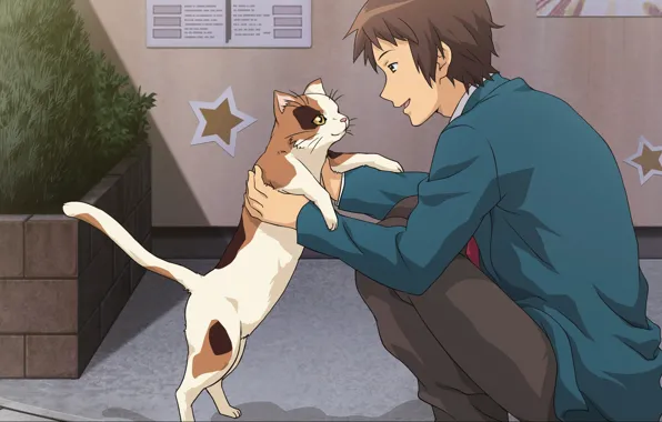Кошка, парень, suzumiya haruhi no yuutsu