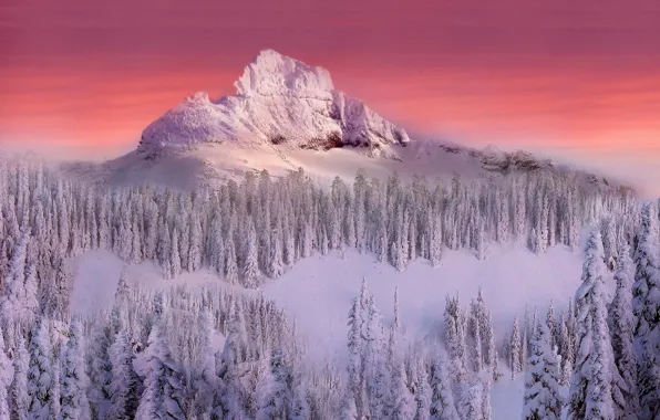 Картинка снег, деревья, гора, Зима