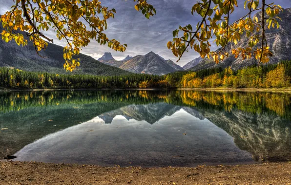 Картинка лес, листья, горы, ветки, озеро, отражение, Канада