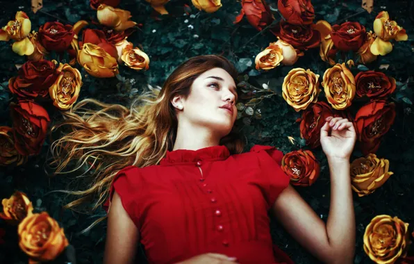 Картинка девушка, цветы, поза, настроение, розы, Fernanda Finsterbush