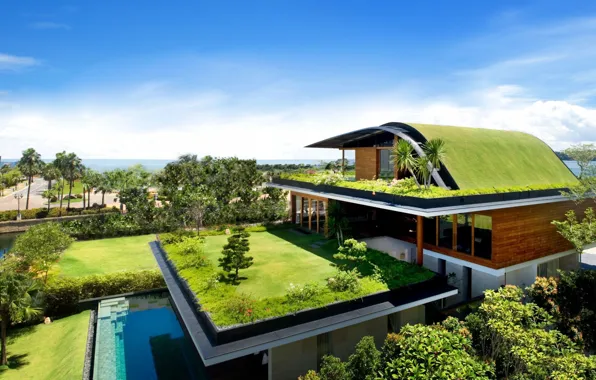 Картинка House, Grass, Green, Landscape, Pool
