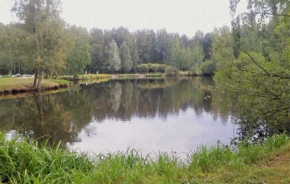 Пейзаж, пруд, конец лета, красота в природе