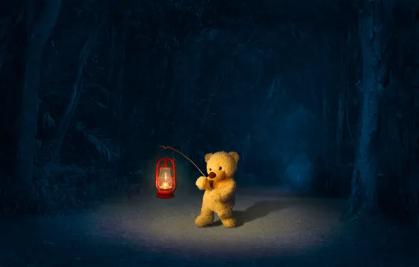 Дорога, лес, ночь, медведь, фонарь, медвежонок, плюшевый мишка