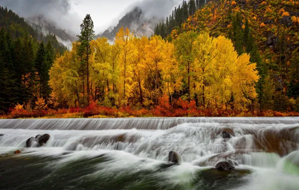 Осень, лес, облака, пейзаж, горы, природа, туман, река