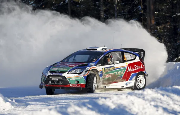 Ford, Зима, Снег, Скорость, Fiesta, World Rally Car