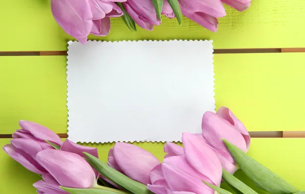 Цветы, букет, тюльпаны, розовые, wood, pink, flowers, beautiful
