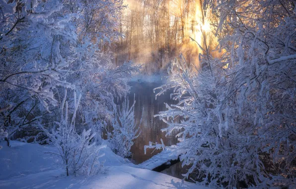 Картинка зима, снег, деревья, ветки, река, мороз