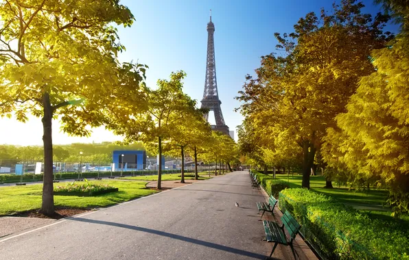 Картинка дорога, листья, деревья, парк, Франция, Париж, желтые, Эйфелева башня