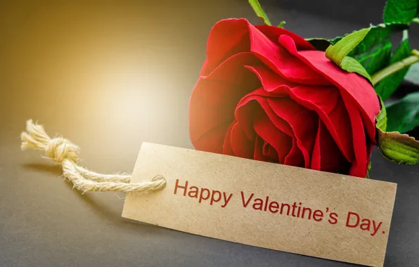 Картинка red, love, rose, romantic, gift, valentine`s day