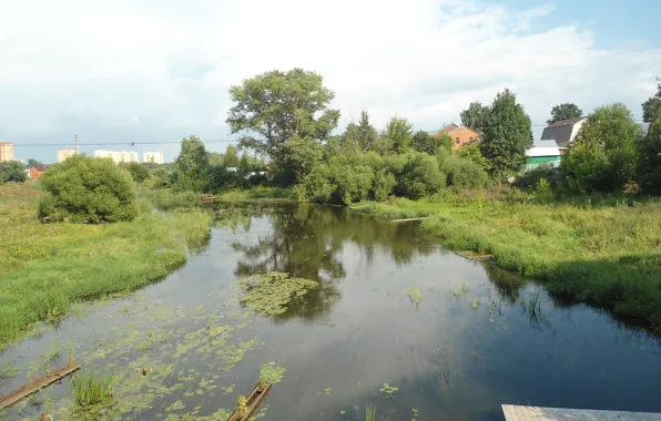 Река, кувшинки, Местность