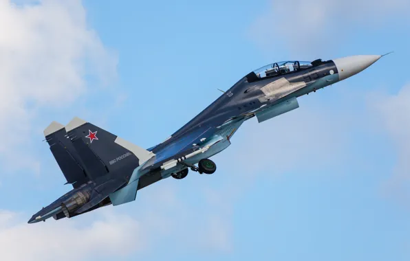 Картинка небо, истребитель, многоцелевой, двухместный, Су-30СМ
