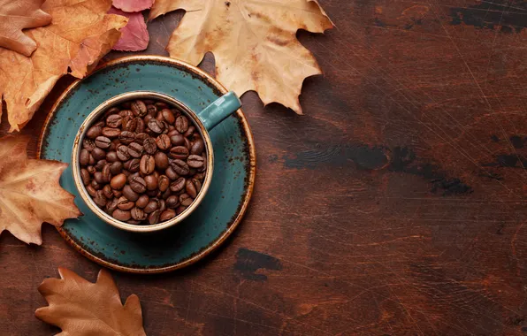 Осень, листья, зерна, wood, autumn, leaves, cup, beans