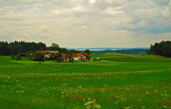 Картинка дорога, зелень, трава, деревья, река, поля, дома, Германия