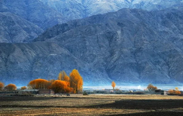 Осень, деревья, горы, Памир