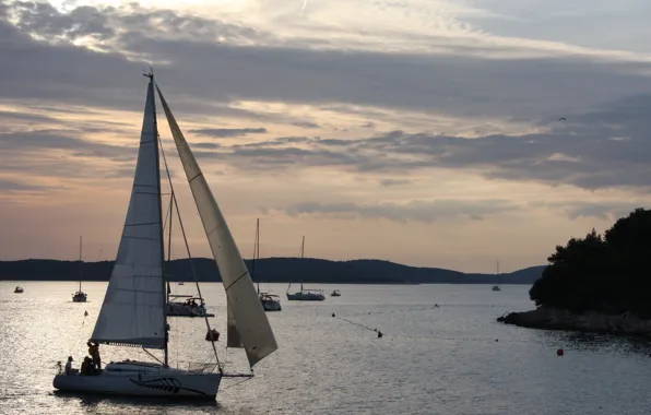 Sunset, Sea, Boat
