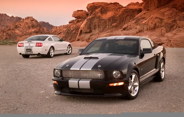 Shelby, mustang, gt500
