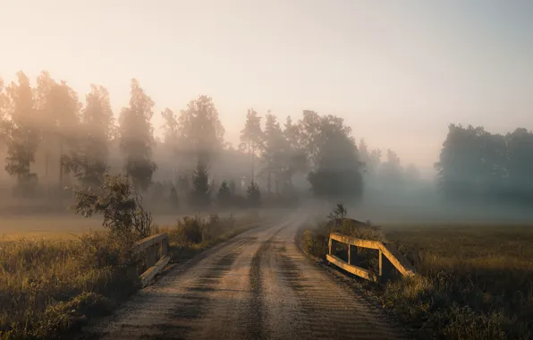 Картинка дорога, осень, туман, утро