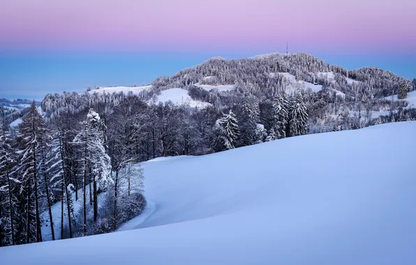 Зима, снег, пейзаж
