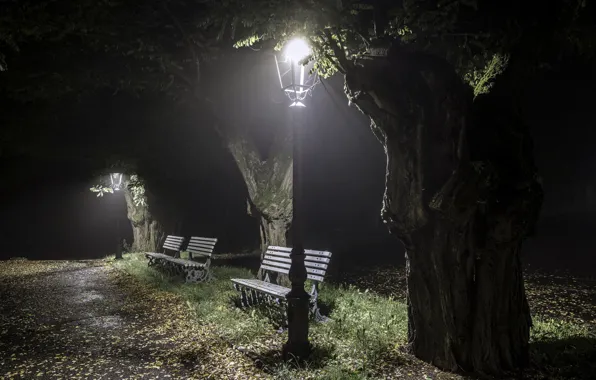 Картинка ночь, город, парк, скамья
