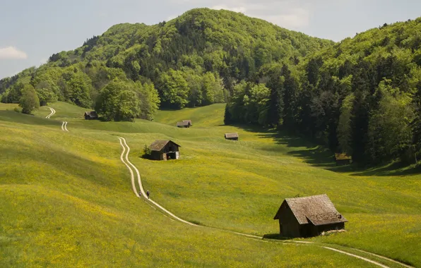 Дорога, зелень, поле, лес, лето, небо, трава, горы