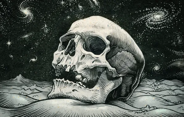 Картинка космос, звезды, череп, skull