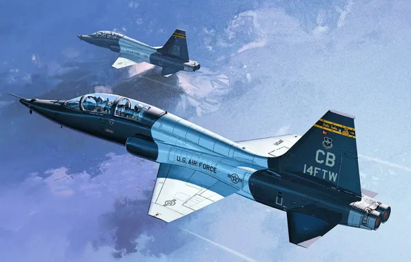 США, учебно-тренировочный самолет, T-38C Talon, US Airforce, Northrop T-38 Talon, Chang Heum