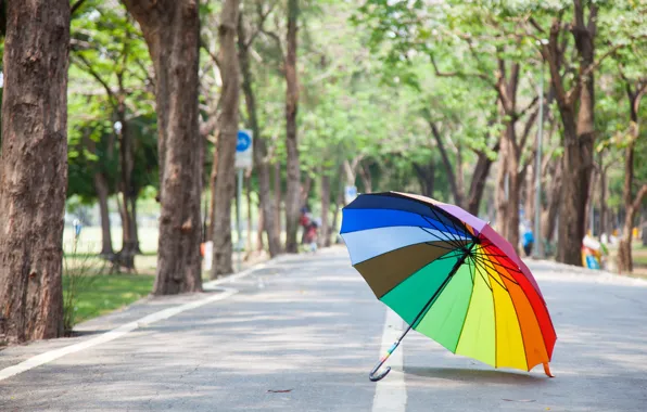 Картинка дорога, лето, деревья, парк, радуга, зонт, colorful, rainbow