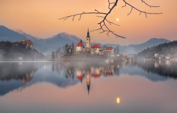 Горы, озеро, отражение, остров, ветка, Словения, Lake Bled, Slovenia